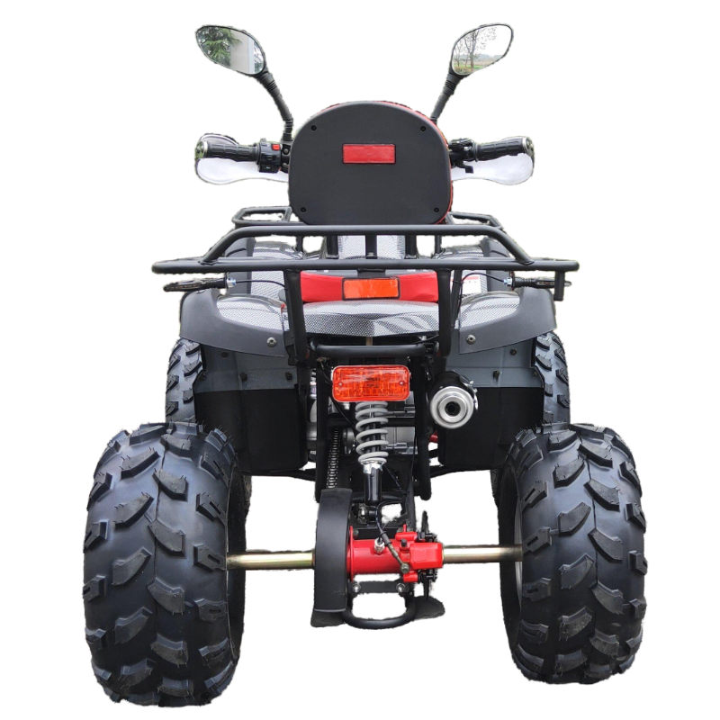 Hot sale 125cc ATV 4X2 4 Wheel ATV off road for kids/adult